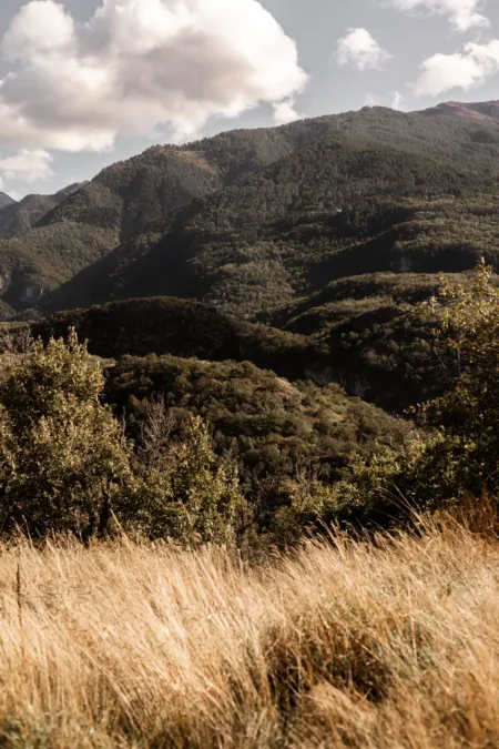 Mountain wind — ENZO Magazine, November 2024